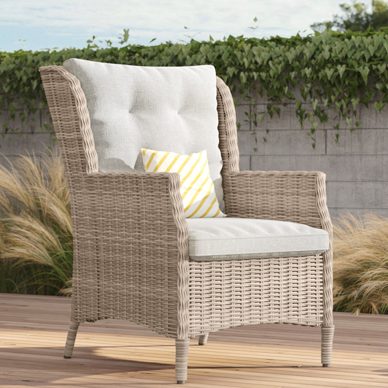 Brynlei Aluminum and Wicker Outdoor Dining Chair with Sunbrella Cushions