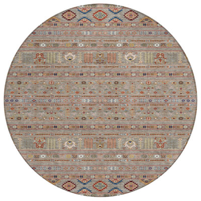 Machine Washable Indoor/Outdoor Brenden ACN2244 Navajo Rug