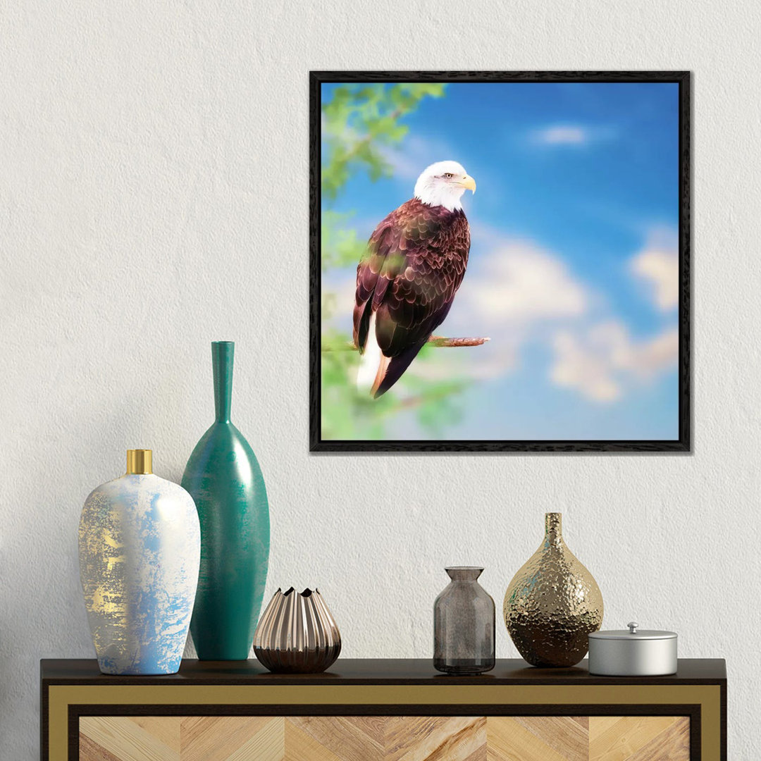 Amerikanischer Weißkopfseeadler auf einem Baum von Susan Richey - Galerie-verpackte Leinwand Giclée