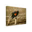 «Red Winged Blackbird» par Etelca, impression sur toile tendue-27646667