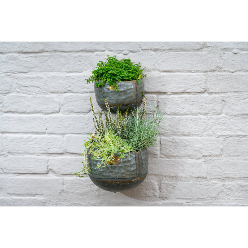 Euan Metal Wall Planter