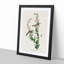 Chestnut-sided Warbler by John Audubon - Picture Frame Painting Print-55536164-55536163