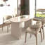 Table de salle à manger extensible pour 4 à 8 personnes, bords arrondis, piètement en lattes de bois, style inspirant, avec coins arrondis, idéale pour les réunions de famille au salon.