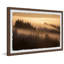 Forest Shadows 1 Piece Painting-832494397-832494398