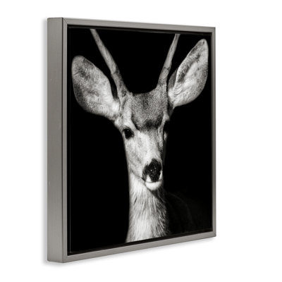 «Gazing Deer Portrait» par Kathy Mansfield