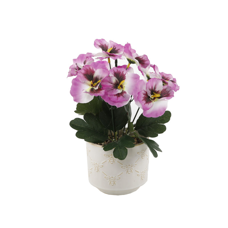 Violet africain dans un vase
