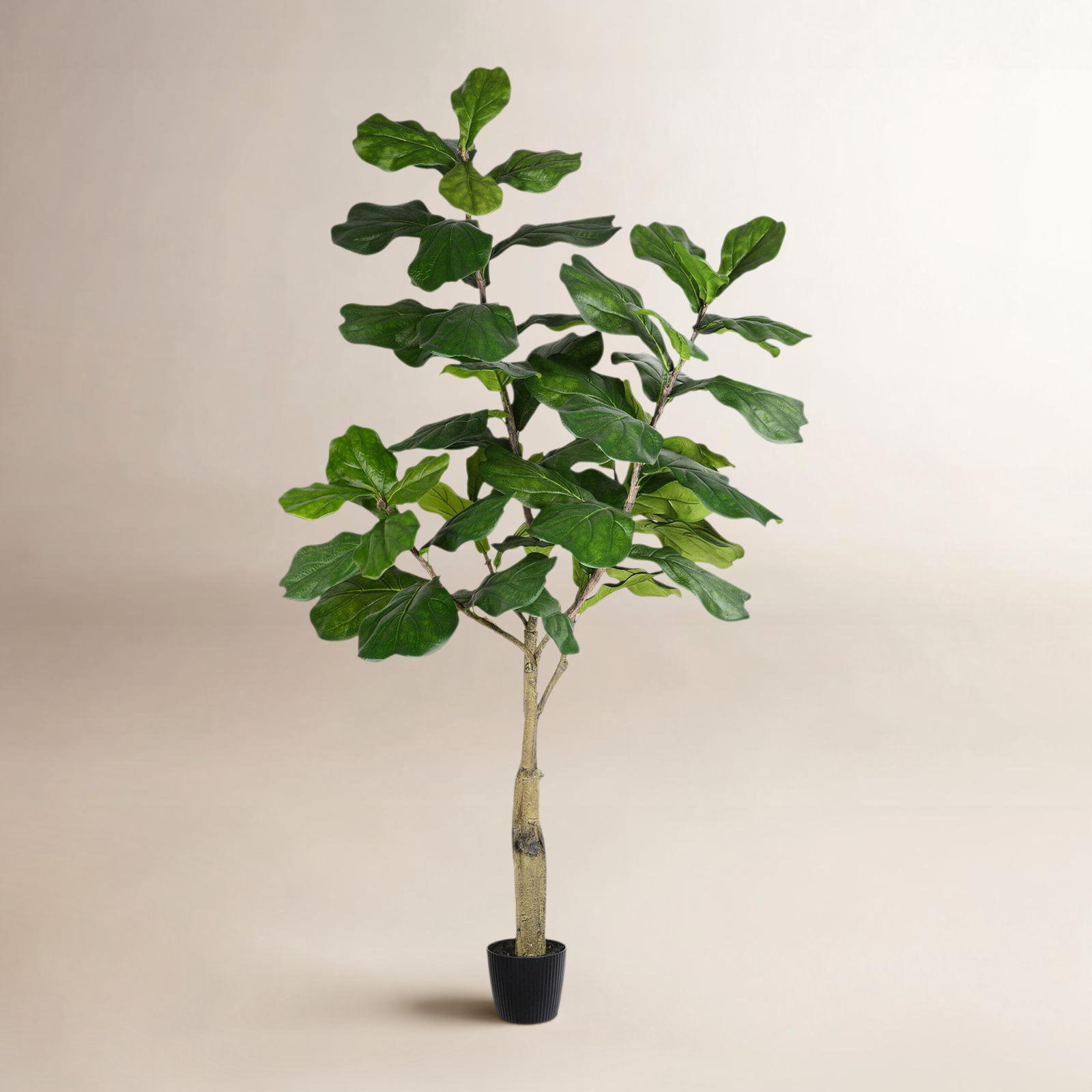 84" Fiddle Leaf Fig Tree in Pot, 72" H x 34" W x 34" D