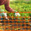 Filet de jardin en plastique 4 pi