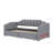 Twin XL Daybed With Integrated Compartment & Pull-Out Trundle, Upholstered Design Featuring LED Lighting-1851678026