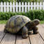 Statue de jardin de tortue réaliste en résine résistante aux intempéries de 21 po L pour terrasse et jardin