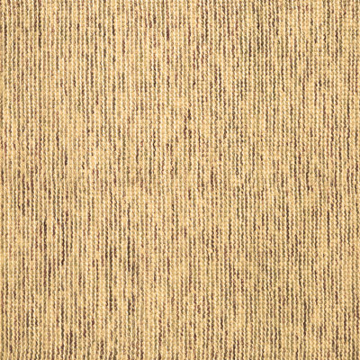 Diver Indoor Rug