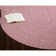 Tappen Checkered Indoor Rug
