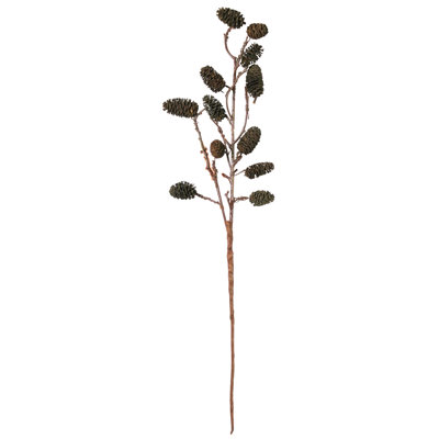 Seaside Alder Arrangement