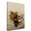 Yand «Mallard Brown Lake», reproduction de peinture acrylique sur toile tendue-30358117