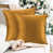 Ochre selected