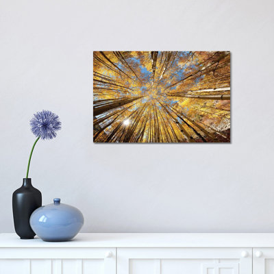 Colorado Autumn Splendor by OLena Art - Wrapped Canvas Print