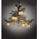 Dunnum 12 - Light Chandelier