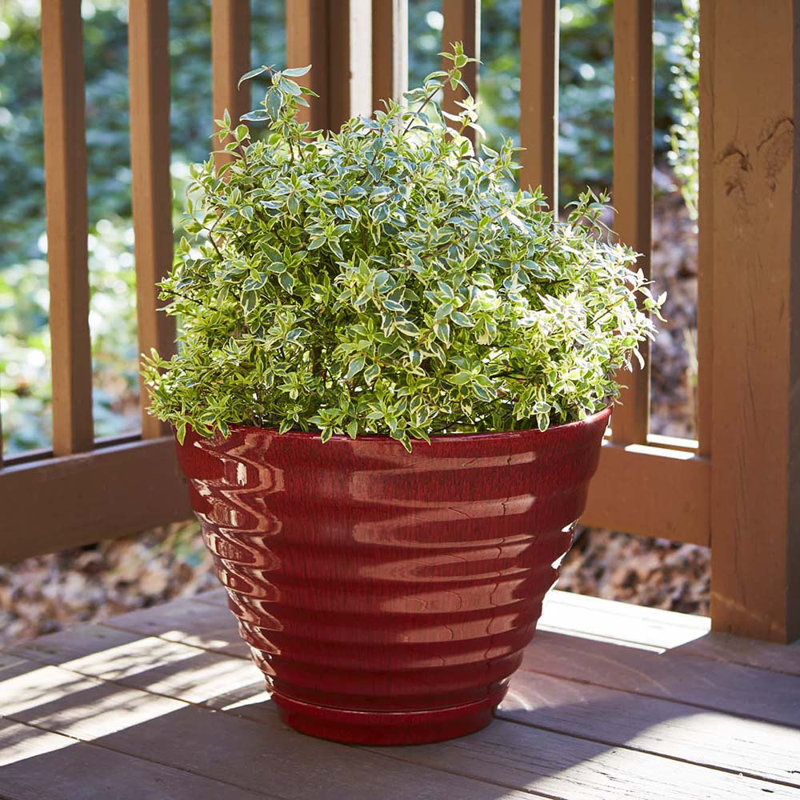 Beehive Pot Planter, Red