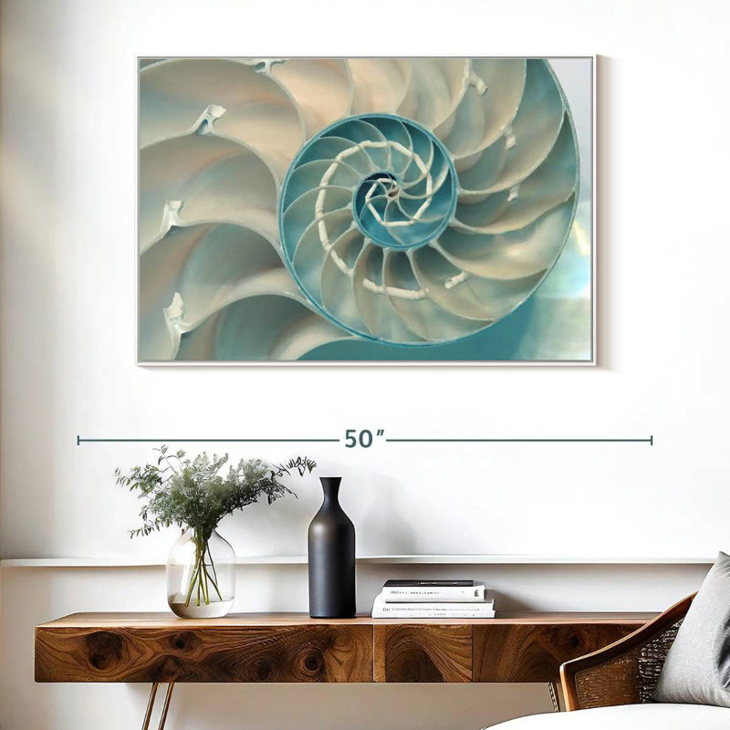 Inside A Nautilus Shell, 40" X 27", Floating Frame White