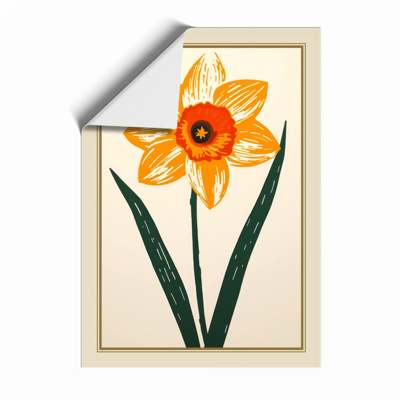 Daffodil Study Botanical - Framed Print, A4 - 29.7 x 21.0 cm, Unframed