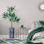 66 plantes-97701530