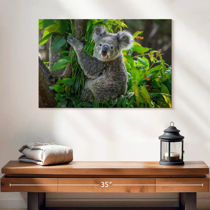 Cute Koala, 16" H x 24" W