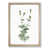 Oak Framed selected