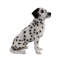 Statue pour chien assis dalmatien