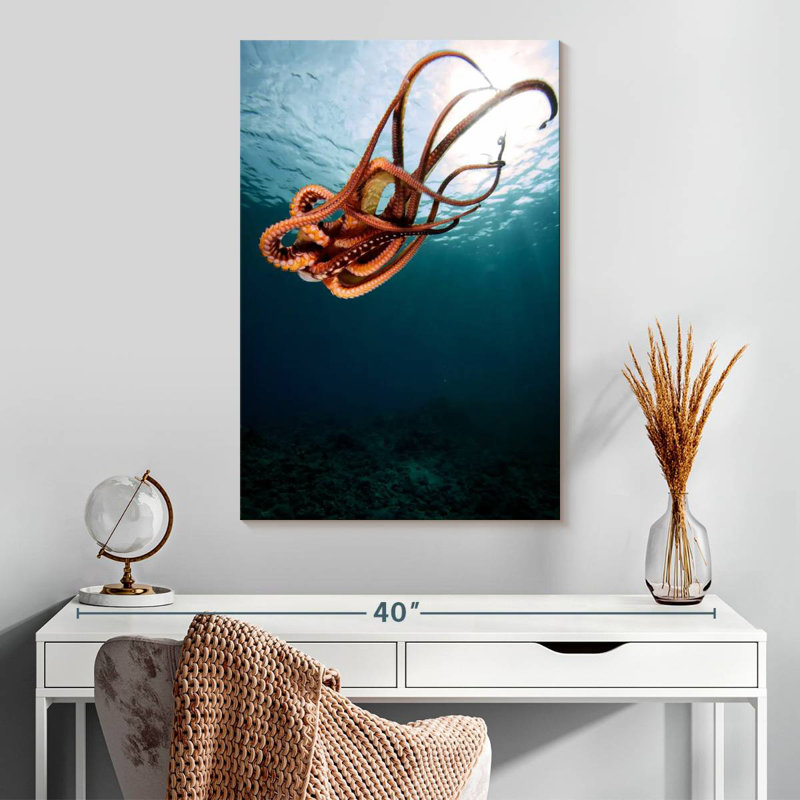 Brampt Diving Octopus, 30" H x 20" W