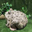 Statue de jardin classique "Earl" Toad Hollow-1476390756