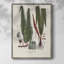 «Botanical Society Ferns IV», reproduction encadrée - bois massif-30496814
