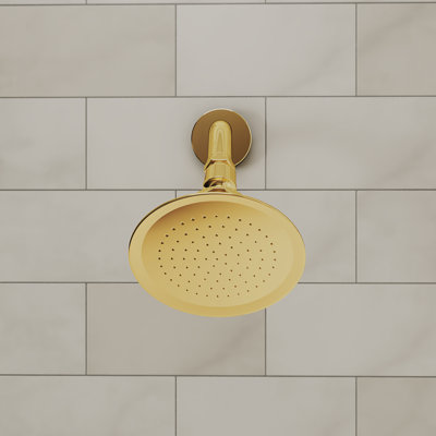 Formosa Shower Head, Polished Brass