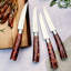 Coltelli 4 - Piece Stainless Steel Steak Knife Set