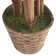 60" Artificial Palm Tree in Planter Set