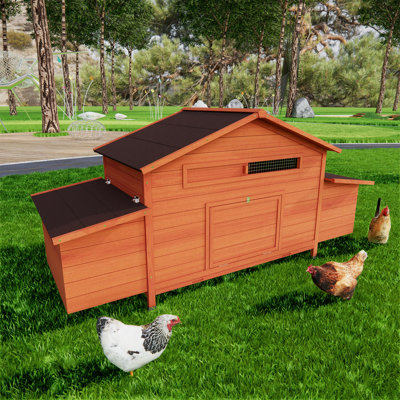Poulailler en bois 123 po