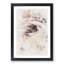 Pale Pink Rose - Framed Print-56741569-56741572