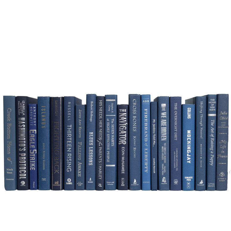 Livres décoratifs - Livres denim et argent - Livres bleus au pied