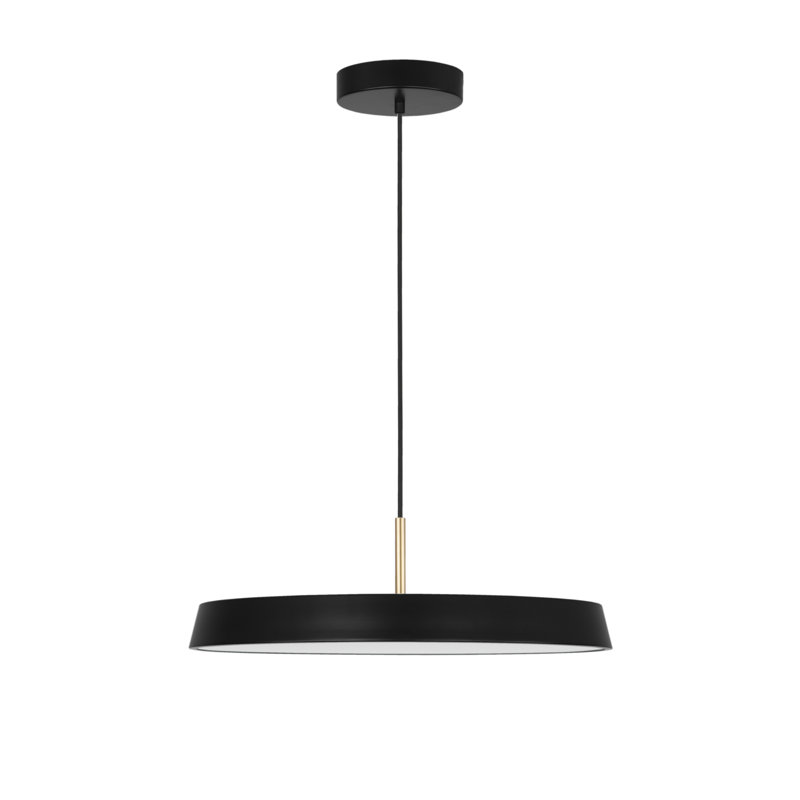 1 - Light LED Single Pendant, Black