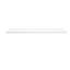 Shelfish Shelf-96431688