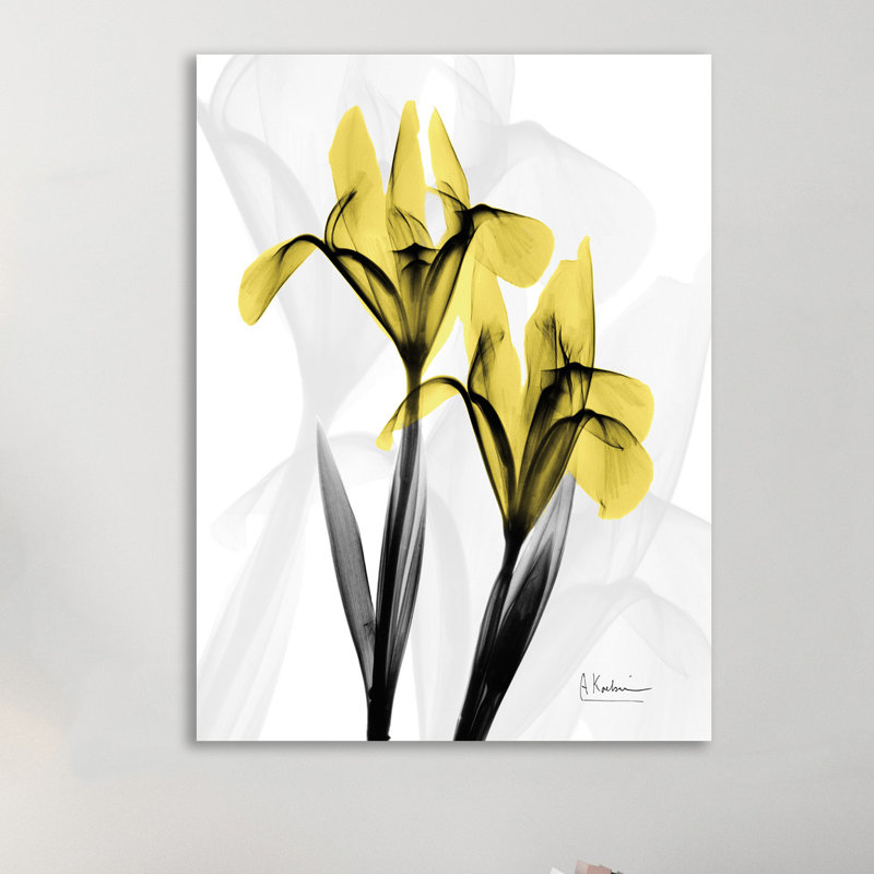Iris - Wrapped Canvas Print, 76 cm H x 76 cm W