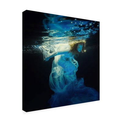 Bolog Dmitry Frizel  Underwater Space Canvas Art