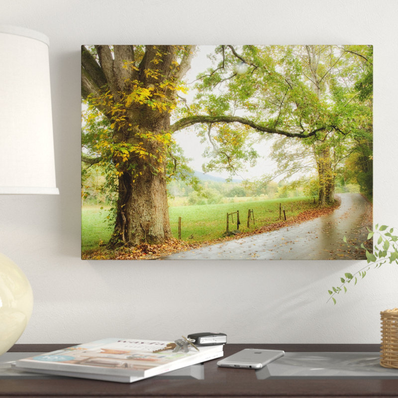 «Wet Path» par Danny Head - reproduction de photo sur toile, H 24 po x l 32 po x P 2 po