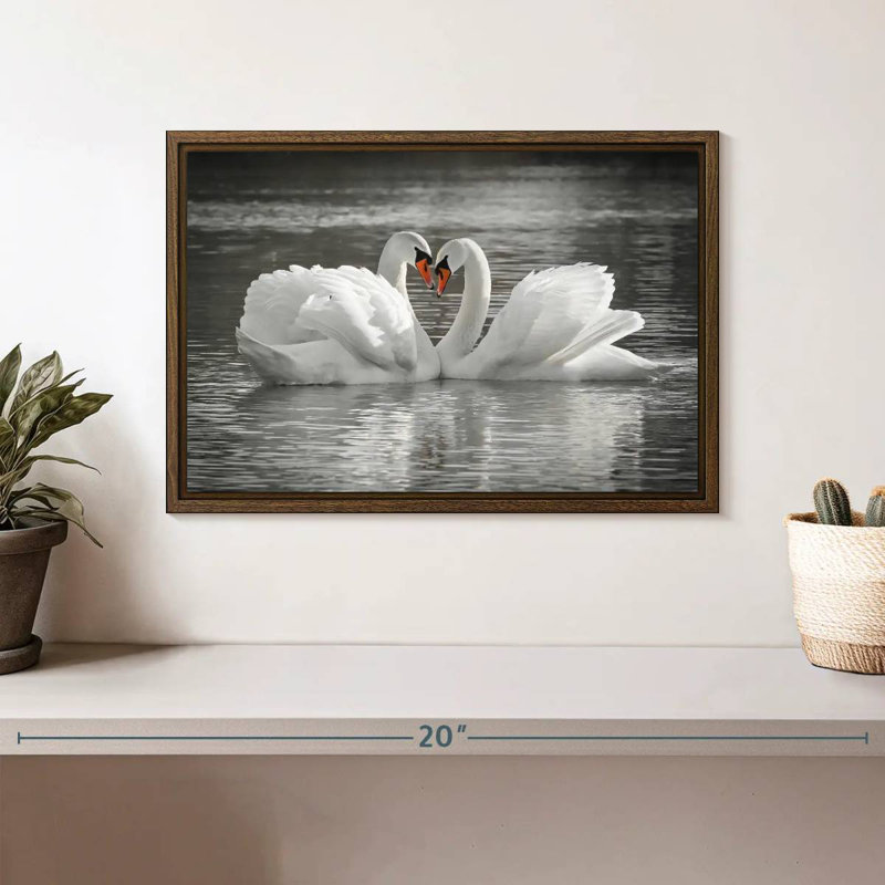 Couple de cygnes amoureux, 13 po x 9 po, Cadre flottant en noyer
