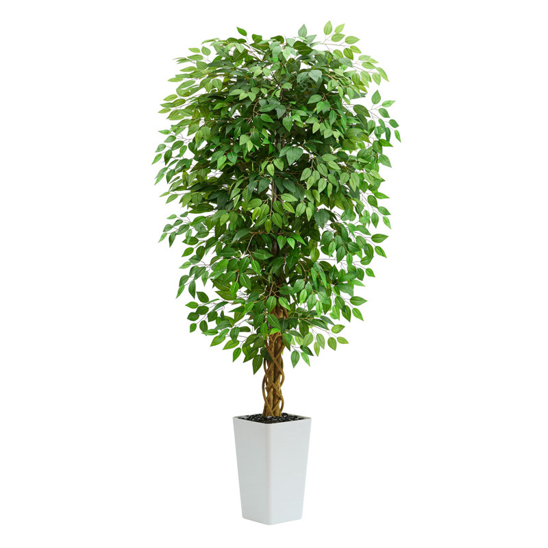 180cm Tree
