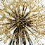 Dandelion Handmade Decorative Object