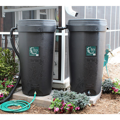 Ivy Rain Barrel