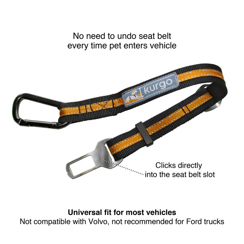 Direct to Seatbelt Tether, Orange