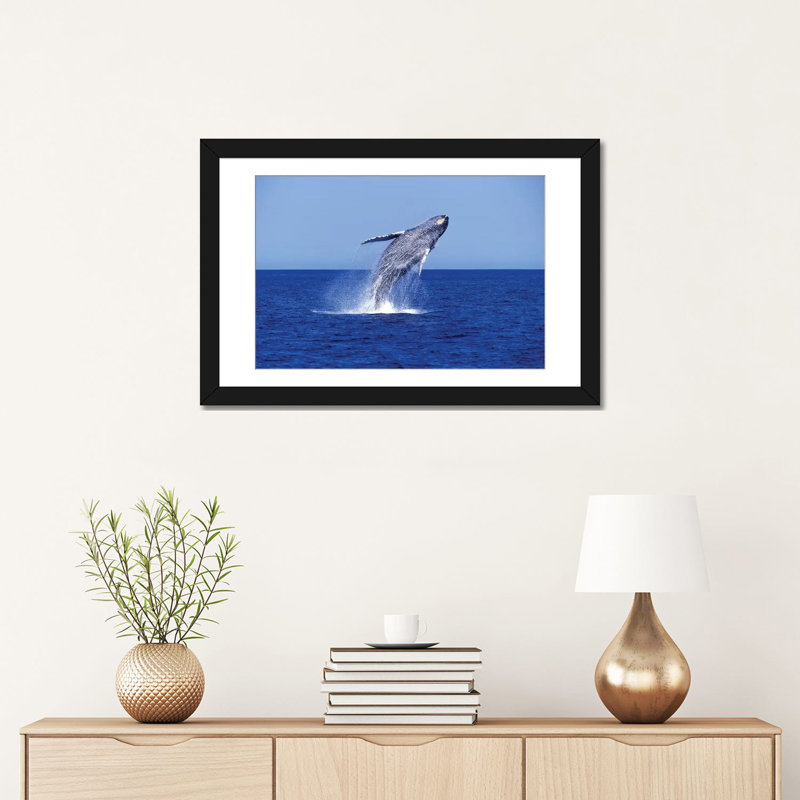 « baleine baleineing brèche », reproduction de photo sur toile, H 16 po x l 24 po x P 1 po, Papier beaux-arts encadré noir