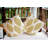 Abstract Outdoor Pillow Cover & Insert-1666319536-1666319548