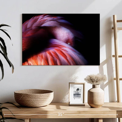 Flamant rose dégradé Brampt